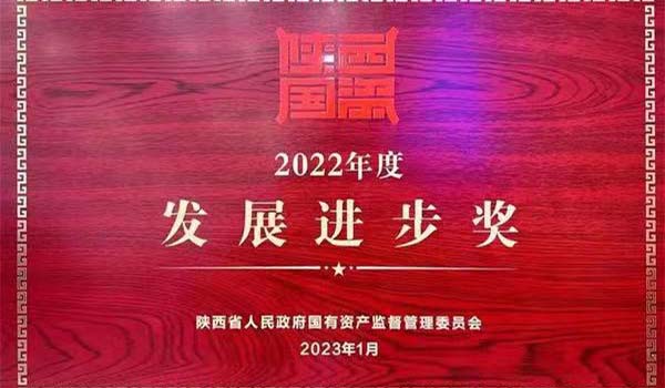 陜外集團榮獲陜西省國資系統(tǒng)2022年度“發(fā)展進(jìn)步獎”